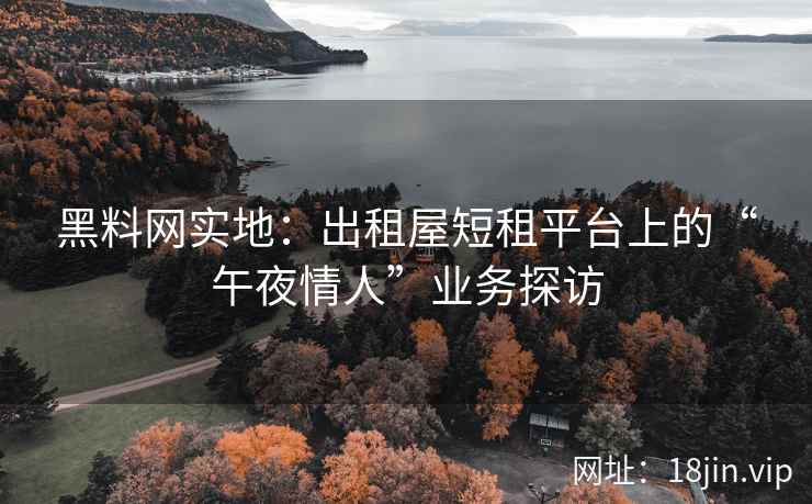黑料网实地：出租屋短租平台上的“午夜情人”业务探访