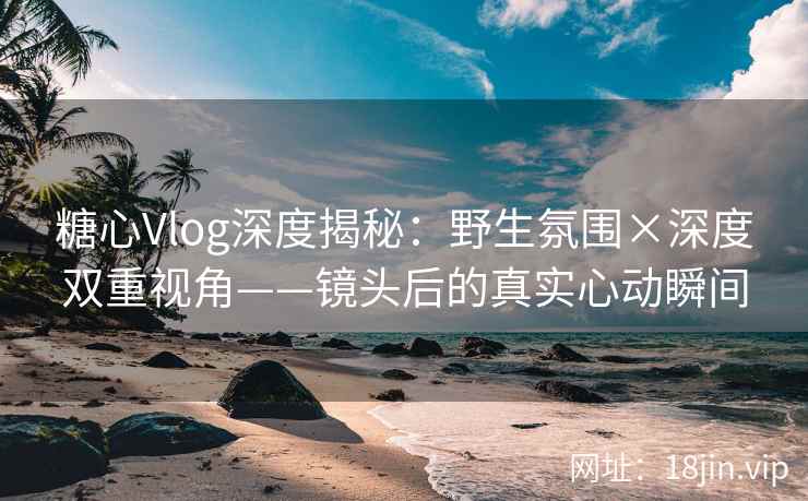 糖心Vlog深度揭秘：野生氛围×深度双重视角——镜头后的真实心动瞬间
