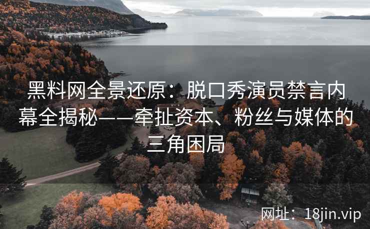 黑料网全景还原：脱口秀演员禁言内幕全揭秘——牵扯资本、粉丝与媒体的三角困局