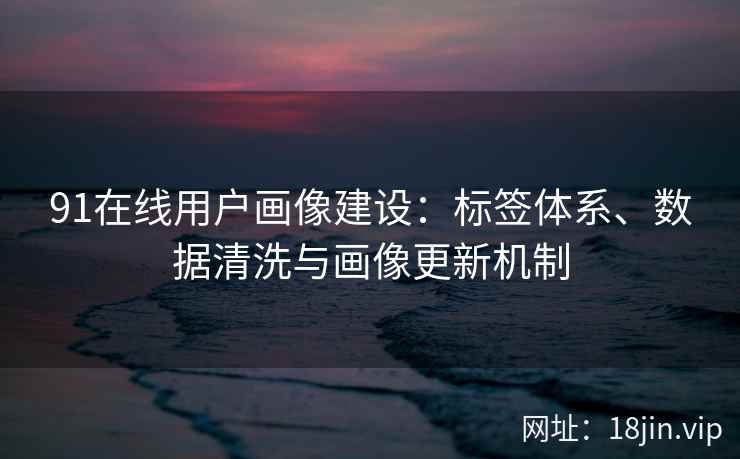 91在线用户画像建设：标签体系、数据清洗与画像更新机制