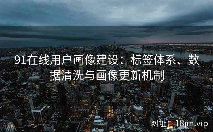 91在线用户画像建设：标签体系、数据清洗与画像更新机制