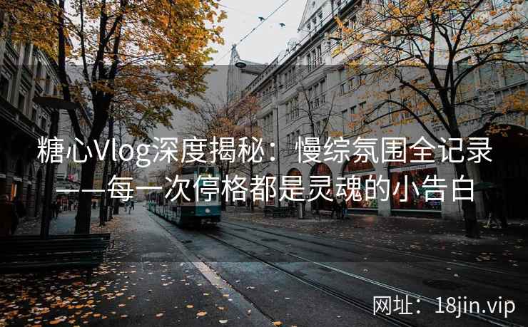 糖心Vlog深度揭秘：慢综氛围全记录——每一次停格都是灵魂的小告白