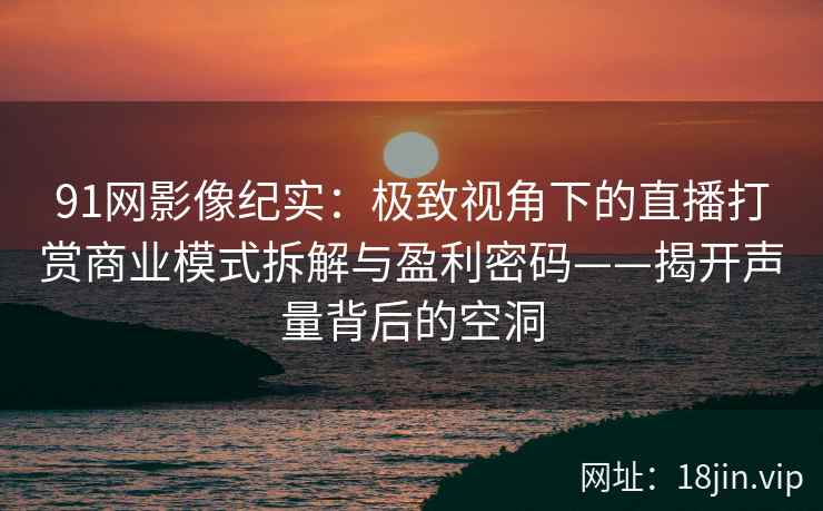 91网影像纪实：极致视角下的直播打赏商业模式拆解与盈利密码——揭开声量背后的空洞