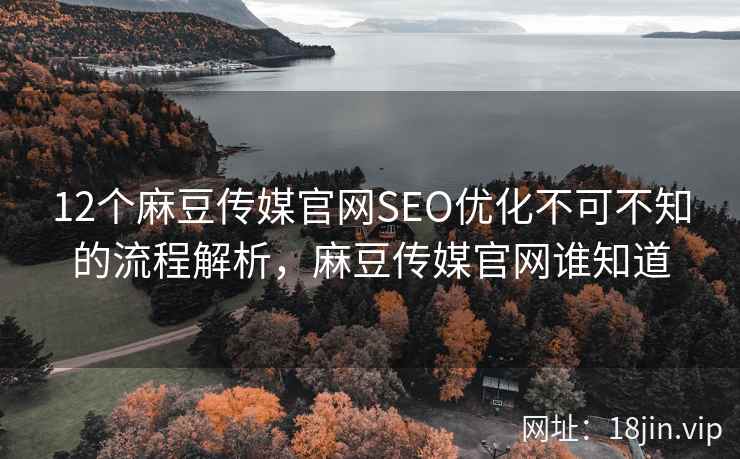 12个麻豆传媒官网SEO优化不可不知的流程解析，麻豆传媒官网谁知道