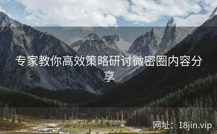 专家教你高效策略研讨微密圈内容分享