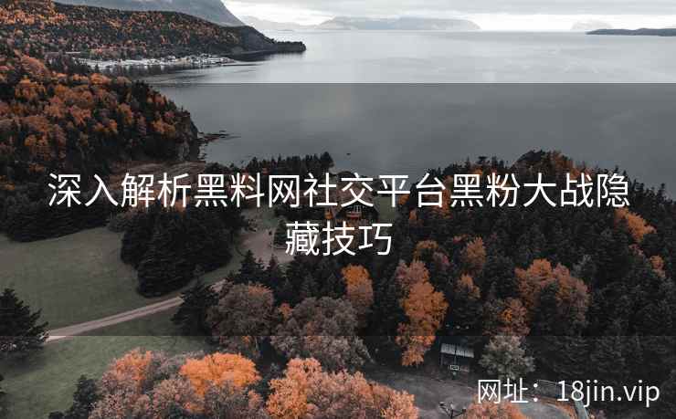 深入解析黑料网社交平台黑粉大战隐藏技巧