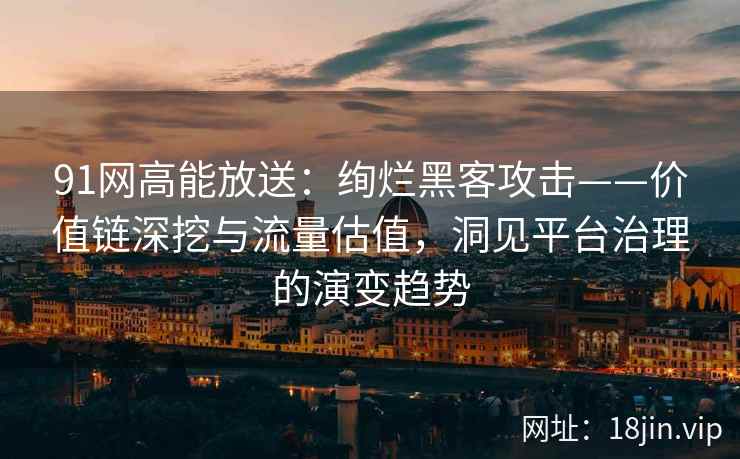 91网高能放送：绚烂黑客攻击——价值链深挖与流量估值，洞见平台治理的演变趋势