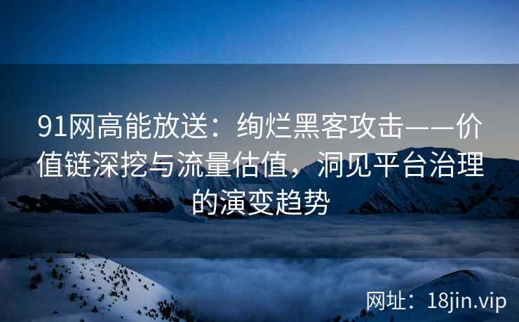91网高能放送：绚烂黑客攻击——价值链深挖与流量估值，洞见平台治理的演变趋势