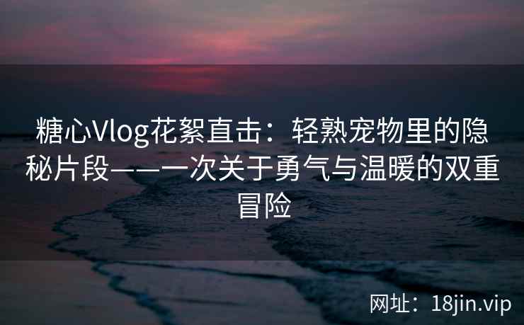 糖心Vlog花絮直击：轻熟宠物里的隐秘片段——一次关于勇气与温暖的双重冒险